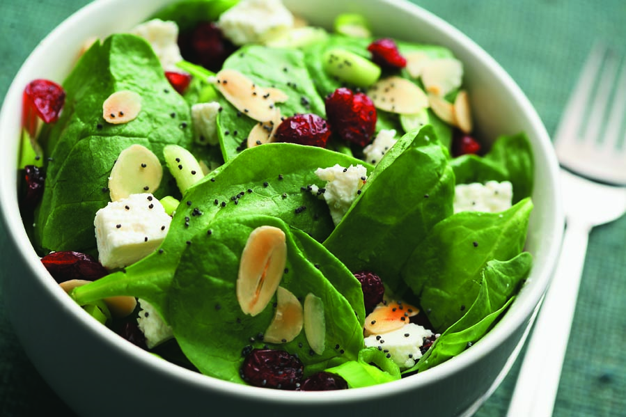 Cranberry Spinach Salad with Poppy Seed Dressing Recipe