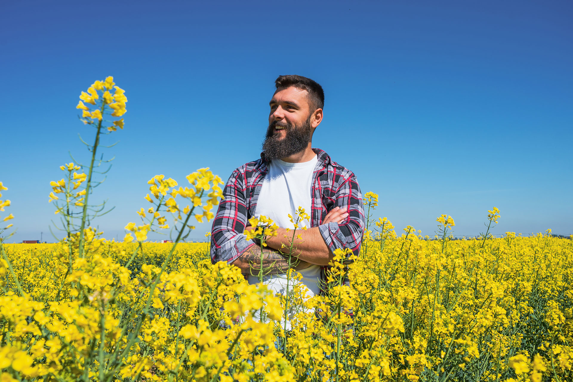 young farmer standing in field of canola